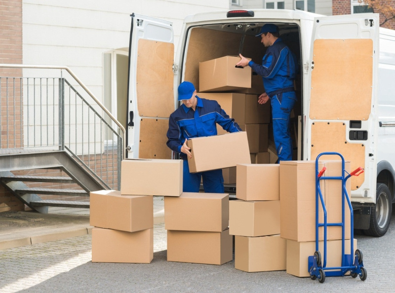 Best Furniture Removalists in Ivanhoe by Aiden Kerr on Dribbble