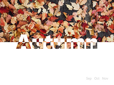 Autumn poster adobe illustrator autumn design november october poster september typogaphy