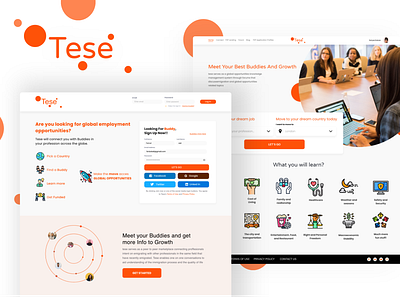 Tese Website design tese ui website