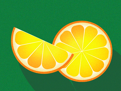 Oranges illustration vector