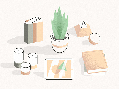 Plant, Books & Stuff