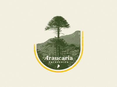 Araucaria Patagonica argentina badge forest mountain nature neuquen patagonia photography tree typography woods