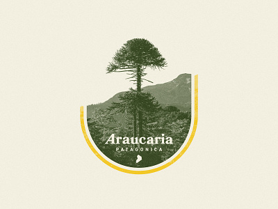 Araucaria Patagonica