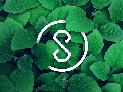 Nature Inspired Logo Concept logo logo design logo designer minimal symbol