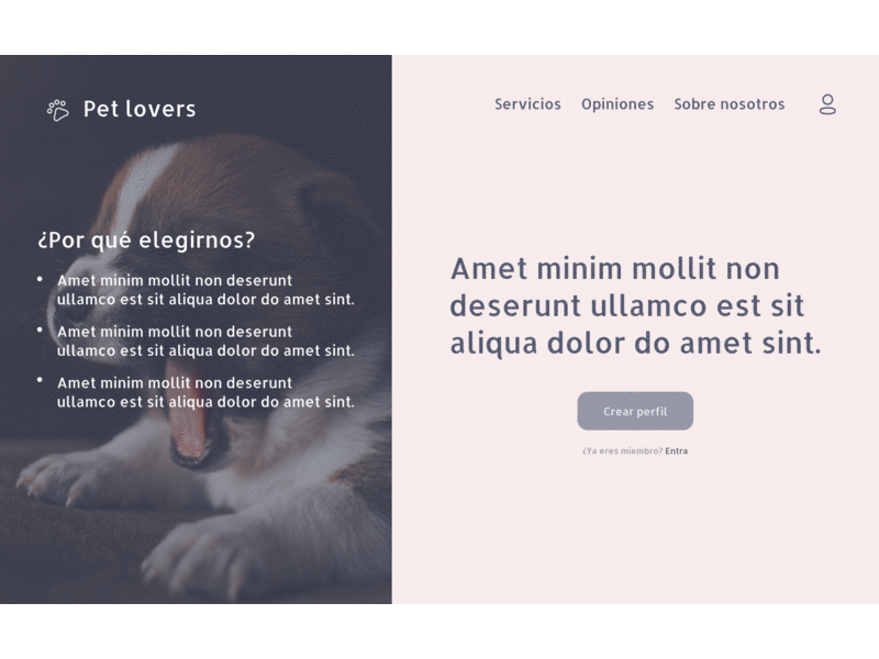 Pet Lovers Web animation branding design figma interface ui ux web website