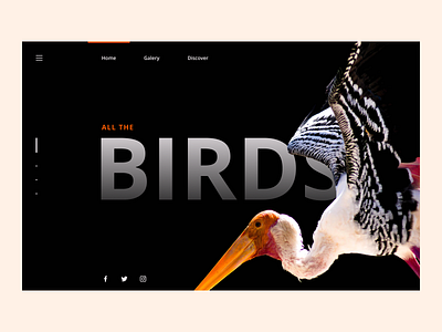 Bird Discovery Website