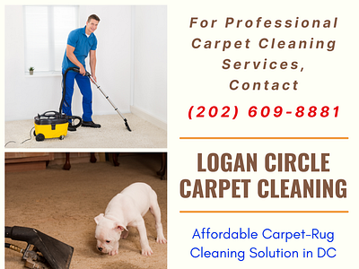 Professional Carpet Cleaning Services in DC