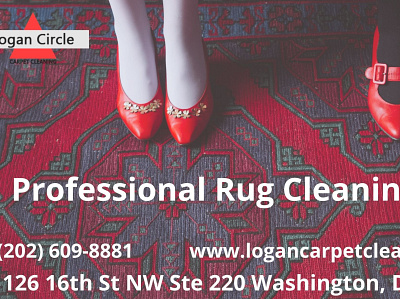 Best Professional Rug Cleaning Service carpet cleaning washington dc professional carpet cleaning dc rug cleaning dc rug cleaning washington dc upholstery cleaning dc