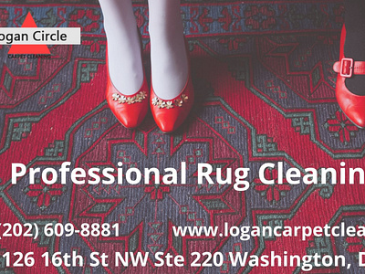 Best Professional Rug Cleaning Service