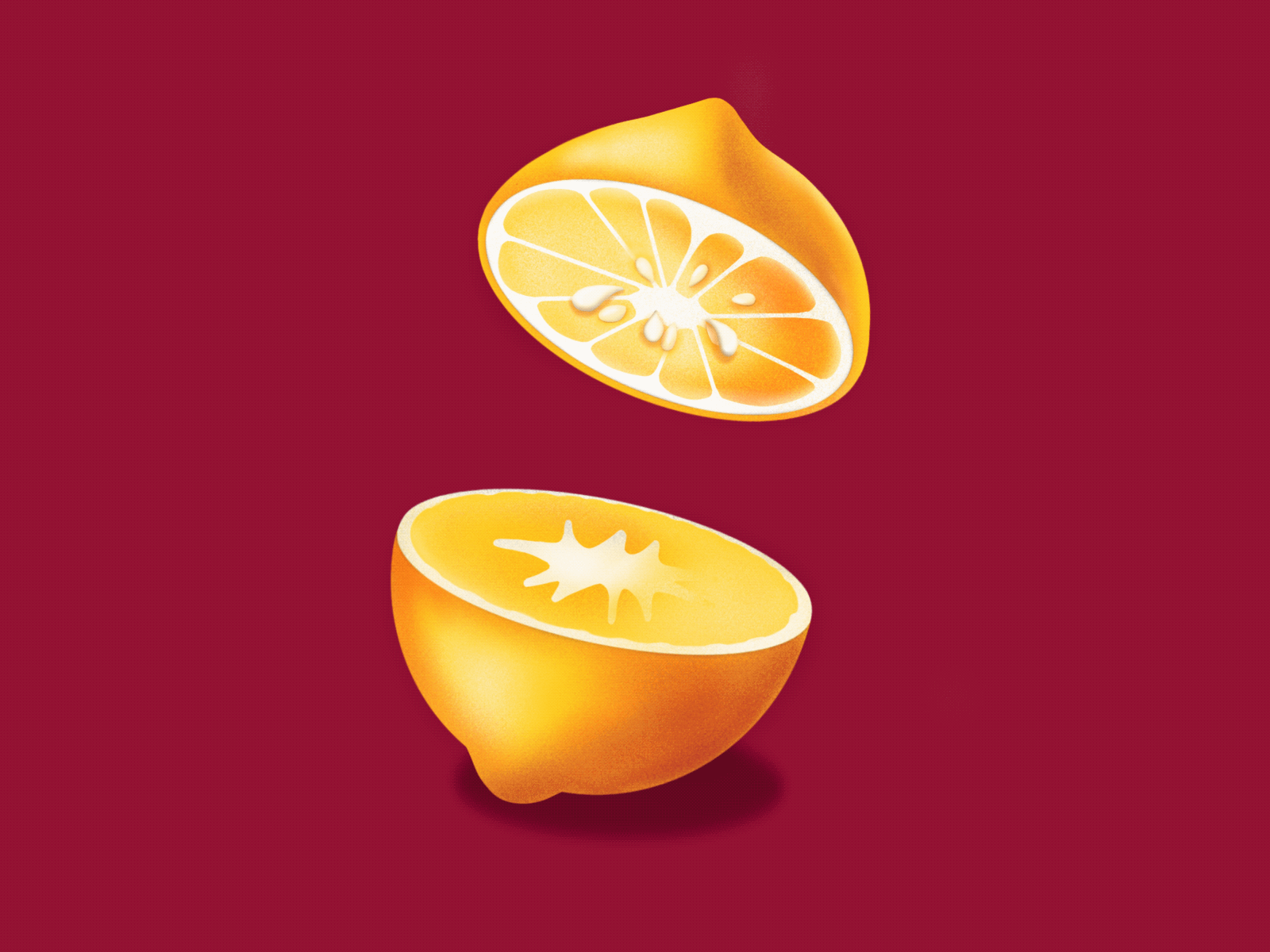 Lemon/orange animation animation design illustration lemon orange procreate