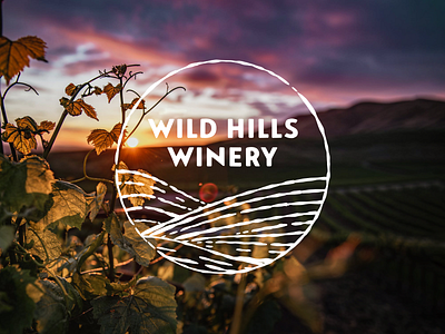 Wild Hills Winery branding grapes hills identity illustration landscape logo typography vines wine winery
