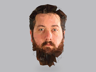 Low Poly Dan geometric illustration low poly