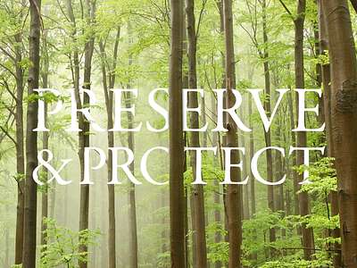 Preserve & Protect ad clean nature serif trees typography white