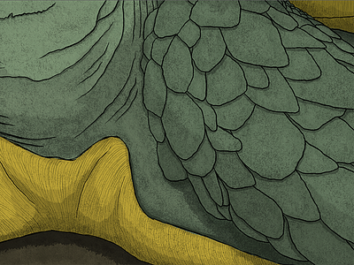 WIP details drawn grain illustration linework nature texture tortoise
