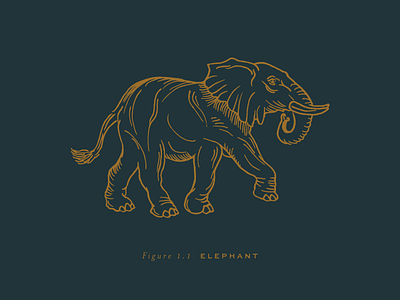 Elephant Rendering animal illustration brand branding elephant gold hand drawn icon illustration logo element navy pen and ink vintage branding