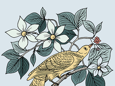 Botanical Bird Illustration audubon audubon birds bird botanical brand illustration branding digital illustration fauna flora illustration pastel vintage