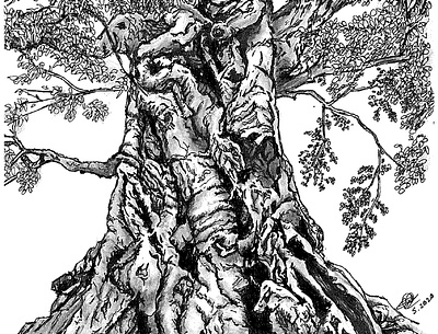 Tree art artist artwork black and white drawing hand drawn illustration nature art pen and ink pen and paper pen art pencil drawing print prints sketch traditional traditional art traditional drawing tree trees
