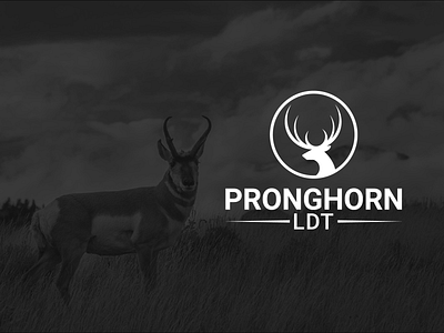 pronghorn logo animal animal logos branding design icon illustration logo product design pronghorn logo vector vintage