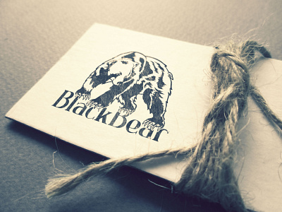 BlackBear 3d art branding creative design flat graphic design icon illustration logo logo design logodesign logos logotype ui vector