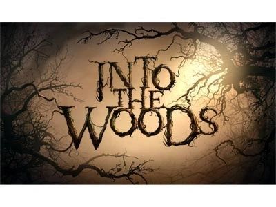 Into The Woods fantasy film graphic design illustration lettering logo titles type