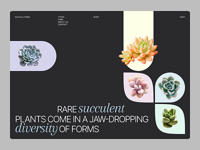 Succulents shop clean dark design e commerce graphic graphic design minimal plants succulents typography ui web web design
