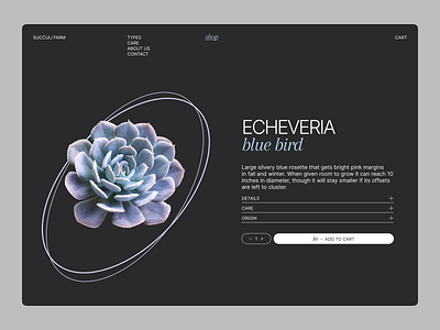 Succulent card clean dark design e commerce graphic design minimal plants product card shop typography ui web web design website