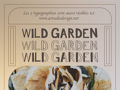 Wild Garden Typography craft ethic fonts handmade natural packaging police typeface typographie