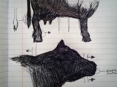 Moo cow illustration moo sketch