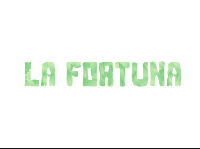 La Fortuna art branding design graphic design illustration minimal type vector web website