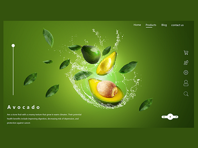 Fresh Fruits  E commerce  Website Concept