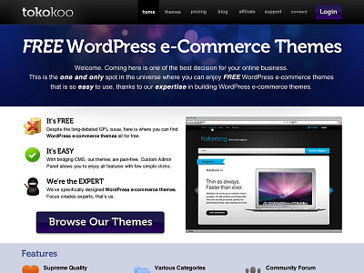 Tokokoo 0.1 css home html landing page web wordpress