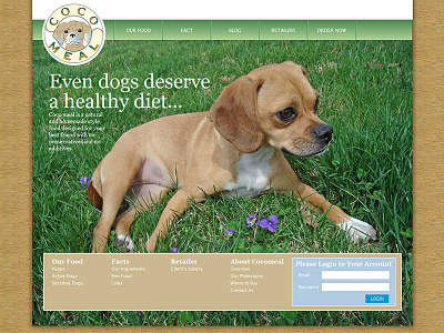 Coco Meal animal css dog home homepage html index landing pets psd web website