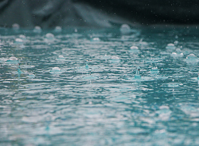 Rain Drops photography