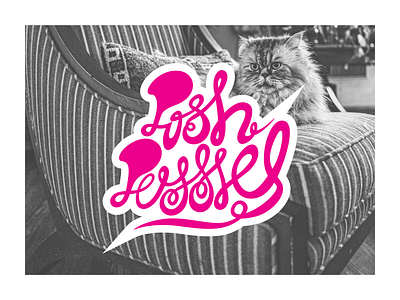 Posh cat cats curly curvy design handlettering lettering script typography
