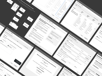 E-Census Survey Wireframe Design