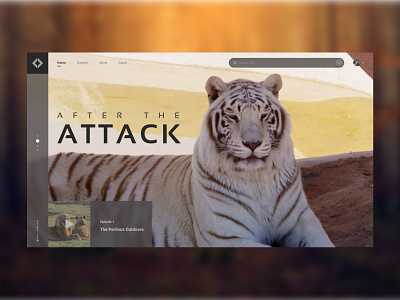 Animal Video Landing Page design ui ux web