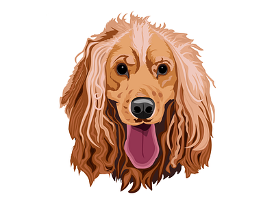 Cocker Spaniel design illustraion illustration illustrator vector векторная графика