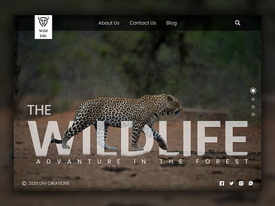 Wildlife Advanture Website UI Design Mockup
