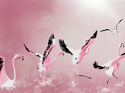 Flamboyance apple pencil birds digital art flamingos illustration pink procreate