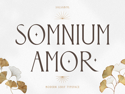 Somnium Amor - Modern Serif Font