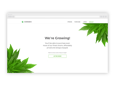 Cannabis Concept cannabis clean concept e commerce green landing page marijuana minimal shop ui web web design