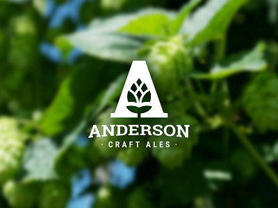 Anderson Craft Ales amber beer branding brewery canada craft beer hops identity ipa logo london ontario