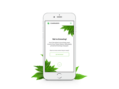 Cannabis adobe xd cannabis concept e commerce green marijuana minimal mobile responsive shop ui