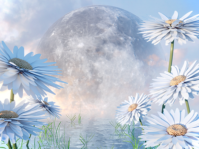 Moonflower Composite Low 3d 3d art 3dartist blender3d dailyrender design landscape render surreal surrealism