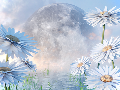 Moonflower Composite Low