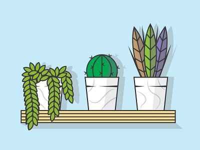 House plants adobe adobe illustrator art art direction artwork cactus design flat graphic design graphicdesign graphics houseplant icon illustration illustrations plant plants vector vector art vector illustration