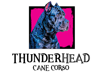 Logo for Thunderhead Cane Corso Dog Breeder branding cane corso design dog breeder dog logo illustration logo thunderhead cane corso logo vintage logo