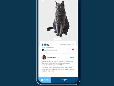 Adoption Cat Design App