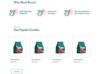 "Black Beans" Coffee Website coffee design flat minimal