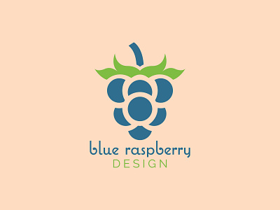 Blue Raspberry Design brand brand design brand designer brand identity branding branding and identity branding concept branding design design graphic design logo logo design logo designer logodesign logomark logos